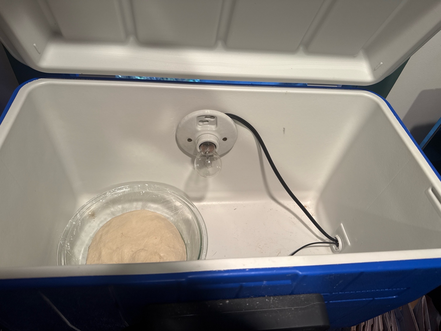 Proofing Box Interior